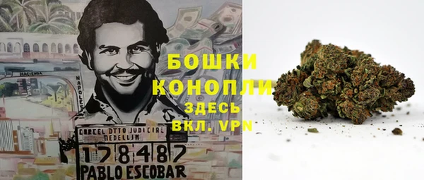 прущая мука Белокуриха