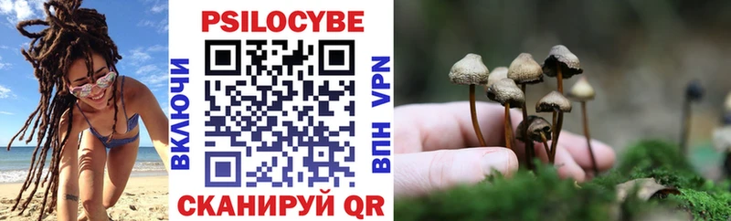 Галлюциногенные грибы Cubensis  Армавир 