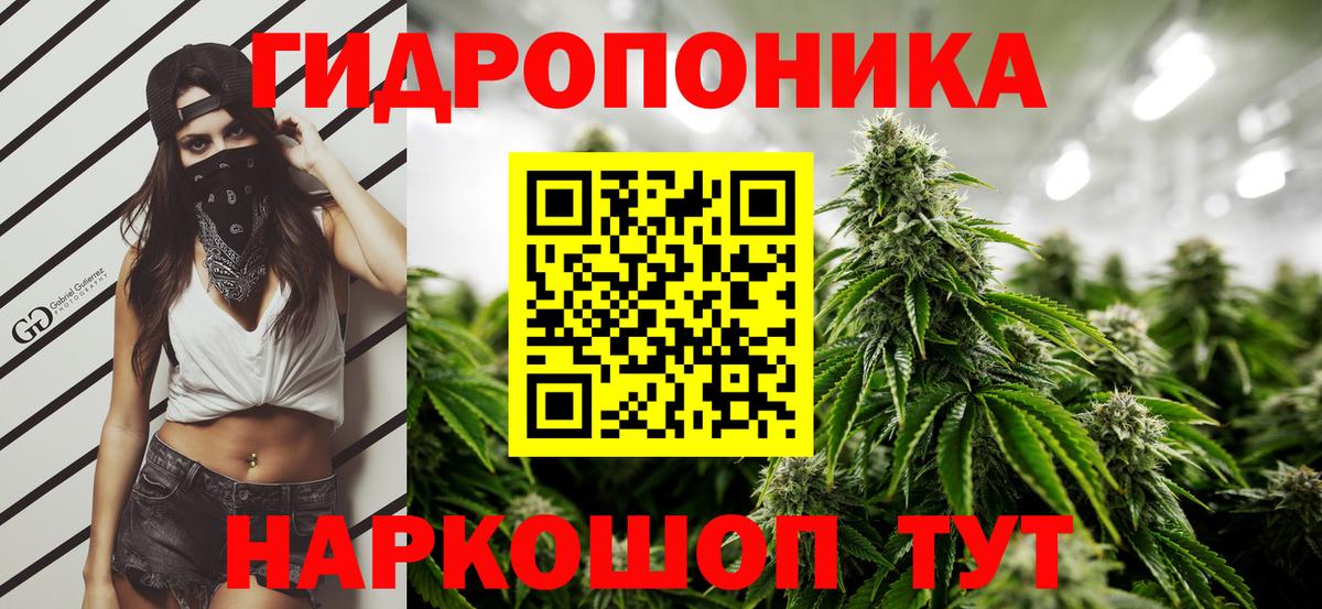 Шишки марихуана план  Шишки марихуана VHQ  Вход с VPN  Армавир 